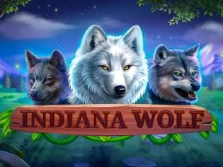 Indiana Wolf thumbnail